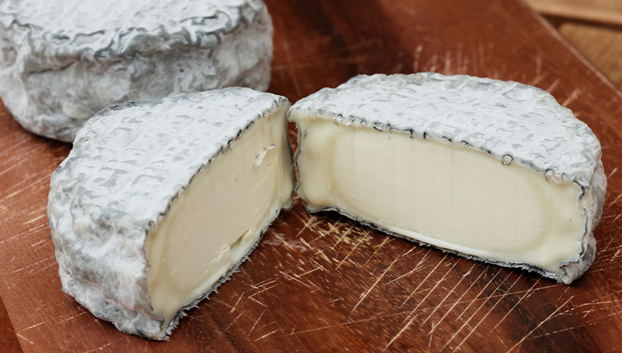 さらなる高見を目指す「ネロカプラ」