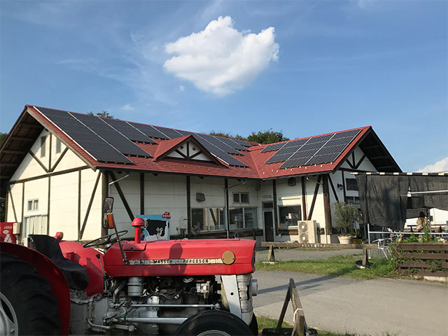 加藤牧場バッフィ