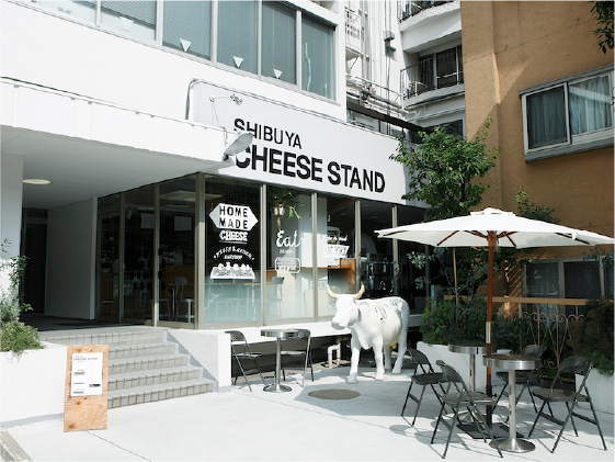 CHEESE STAND