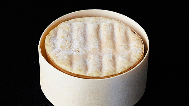 World Cheese Awards 2025 | Cheese Fun!（チーズファン！）