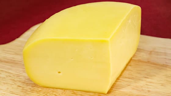 ノースプレインファーム