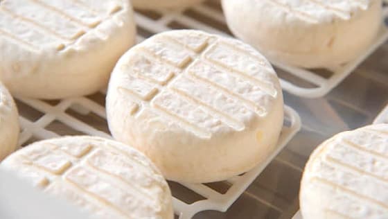 チーズ工房【千】sen