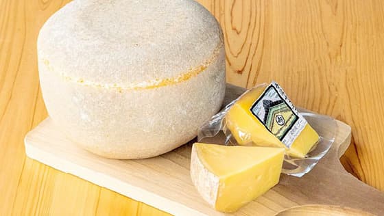 婦木農場 丹波チーズ工房